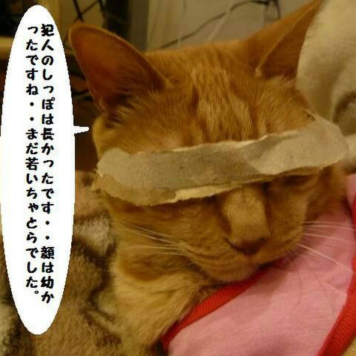 16bf84f1 1cf6 4416 92aa c745e54e9065