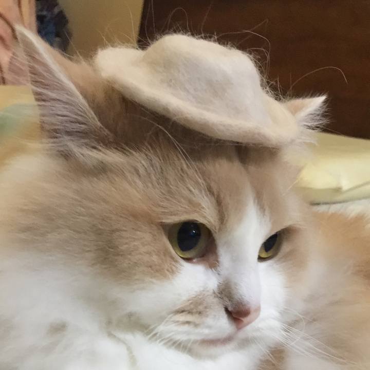 16bfa203 b192 470d abbc 2d7ddc5bd956