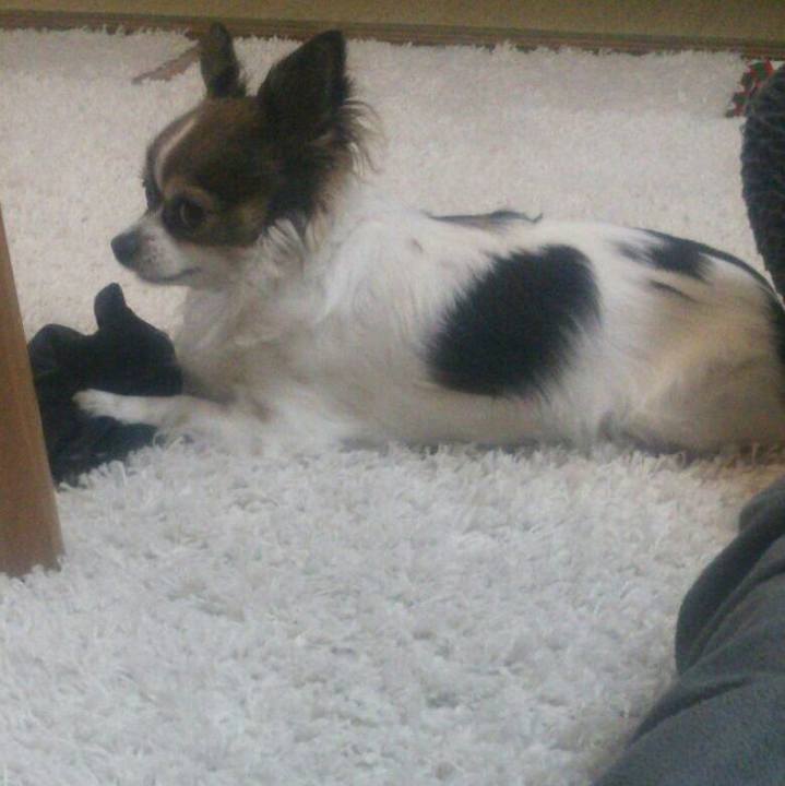 16bfdebf 827c 402d a613 dee17e8ff57a