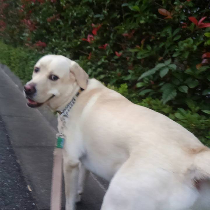 16c0515c ca1a 4cbe 897a ecf3c39ff187