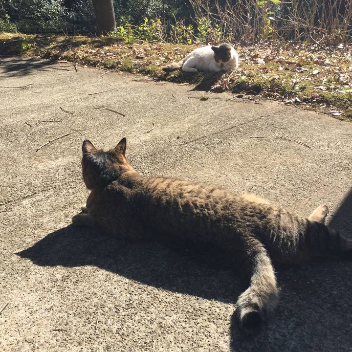 16c17714 d1a4 482c bd1b 64d939b6bbb9