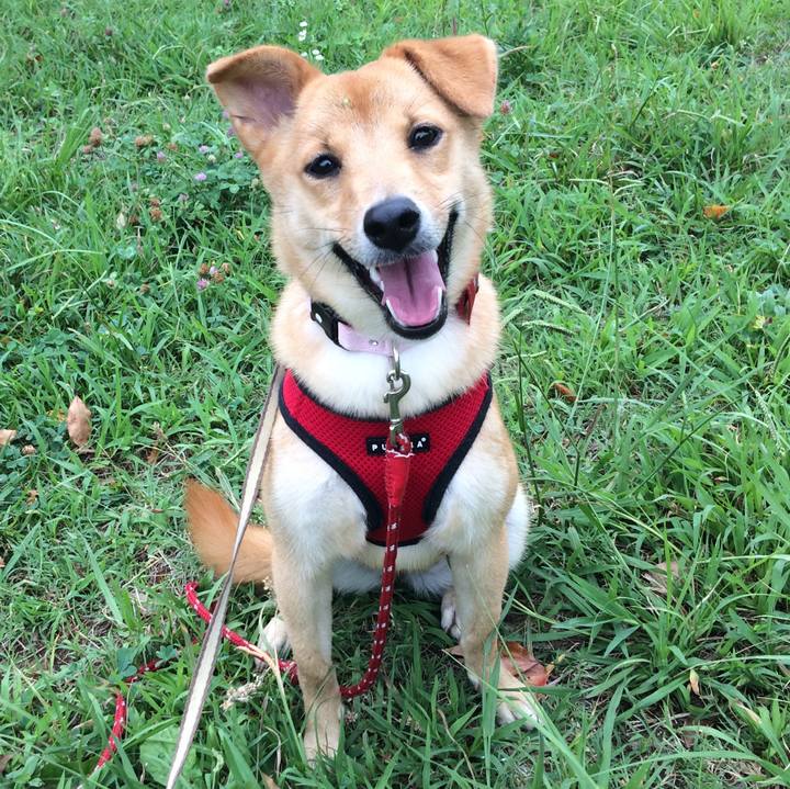 16c1caa8 46d3 4bdd a130 39e2f73553dd