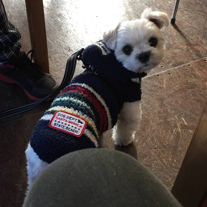 16c1dc92 fe78 4aba b462 c233fb655553