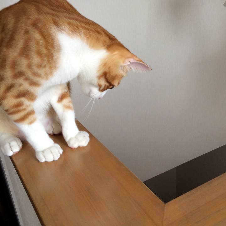 16c24231 320f 4f3a 87d3 d47edfff2655