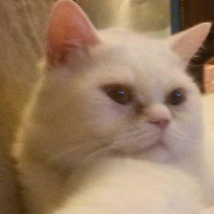 16c28cf2 721d 4609 b162 30dafb24fa1e