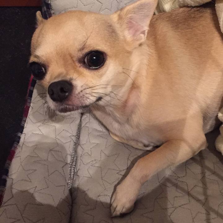 16c2bfa5 fa94 4555 b79b bfd97e702e8d