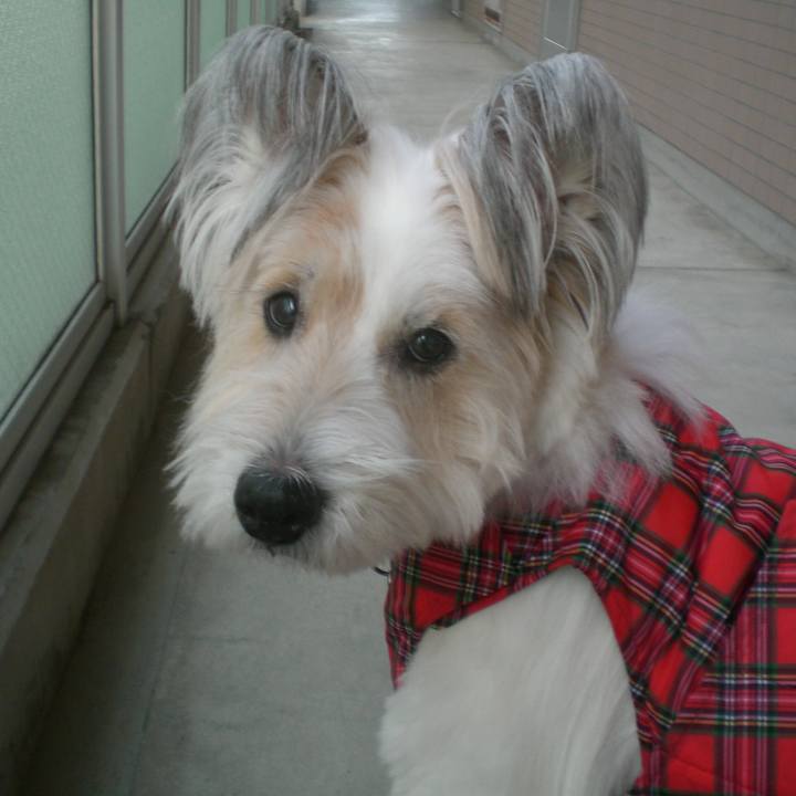 16c36141 d468 4004 af3d 2049abe4aa4f