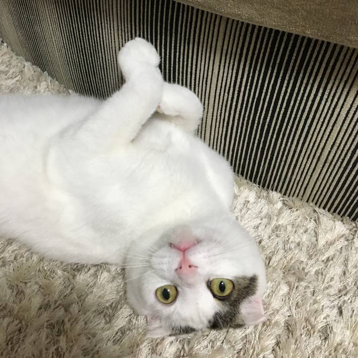 16c39b15 aca5 4f51 b9a1 1e2f23b7731b