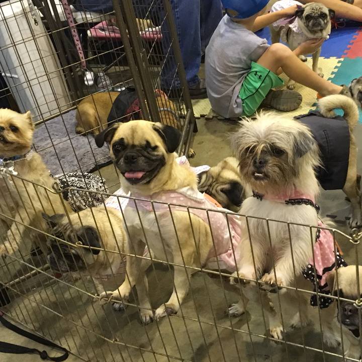 16c3c62f 365a 46b0 970b 0e1279f2f1f6