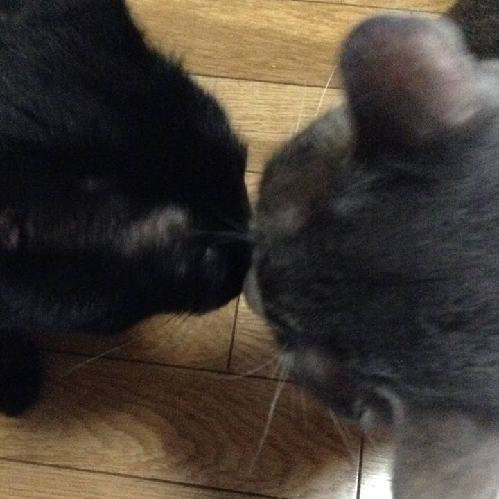 16c4122d d27b 4666 b84a bac003351f51