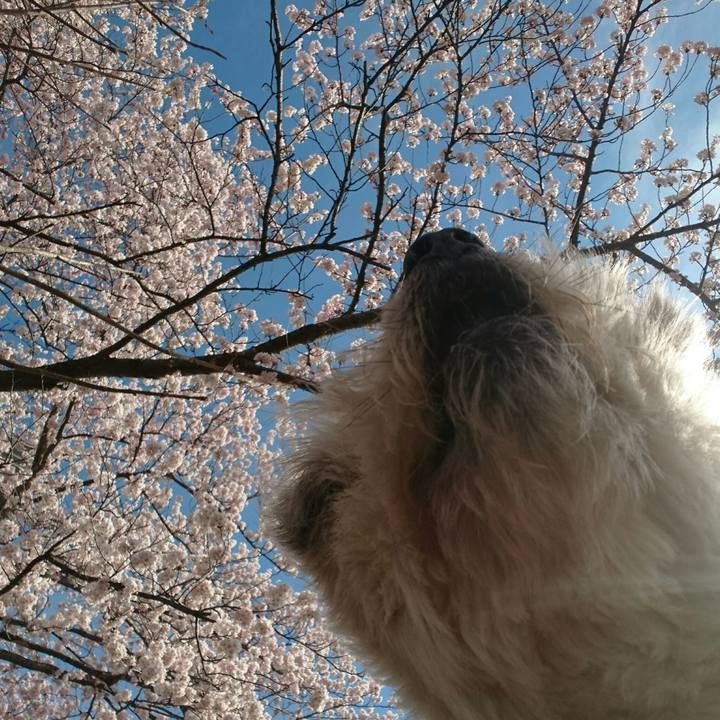 16c4663d 3196 4ef8 abe6 74a7ddd0e60f