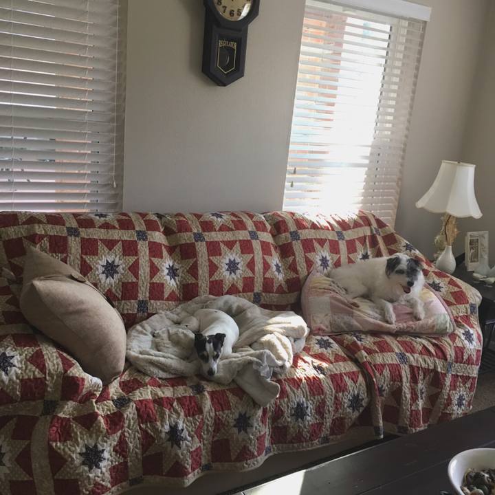 16c47d33 eb4f 410f b73d fa6df101a66b