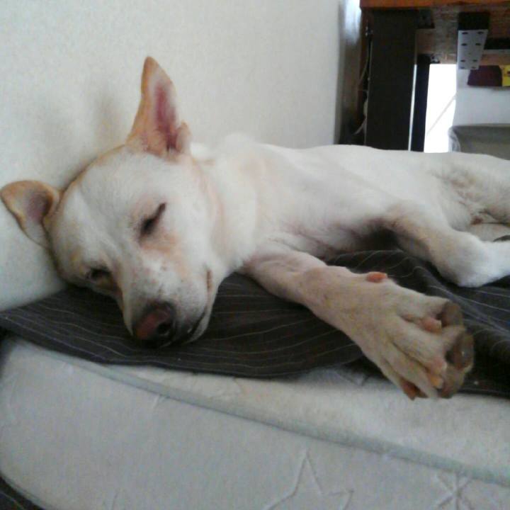 16c4eb7d 60aa 4357 ac2e d23c5df7e55b