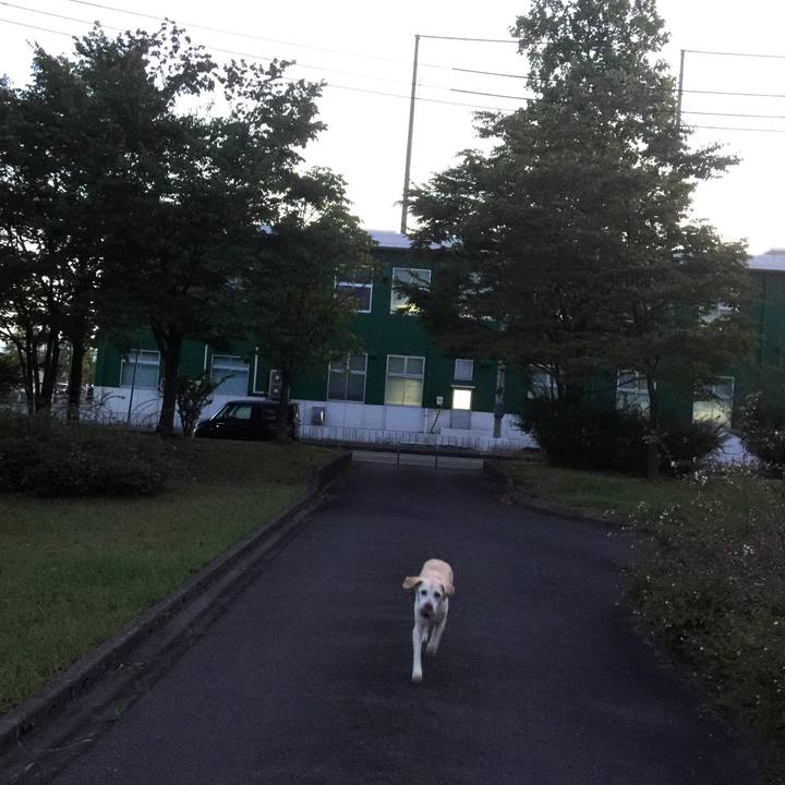 16c5061d 4f3d 4562 a2cb c0eebf6379b5