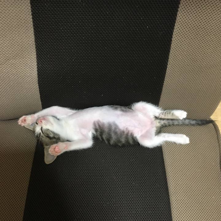 16c50e83 5b2d 42c0 8607 79c990ee7e83