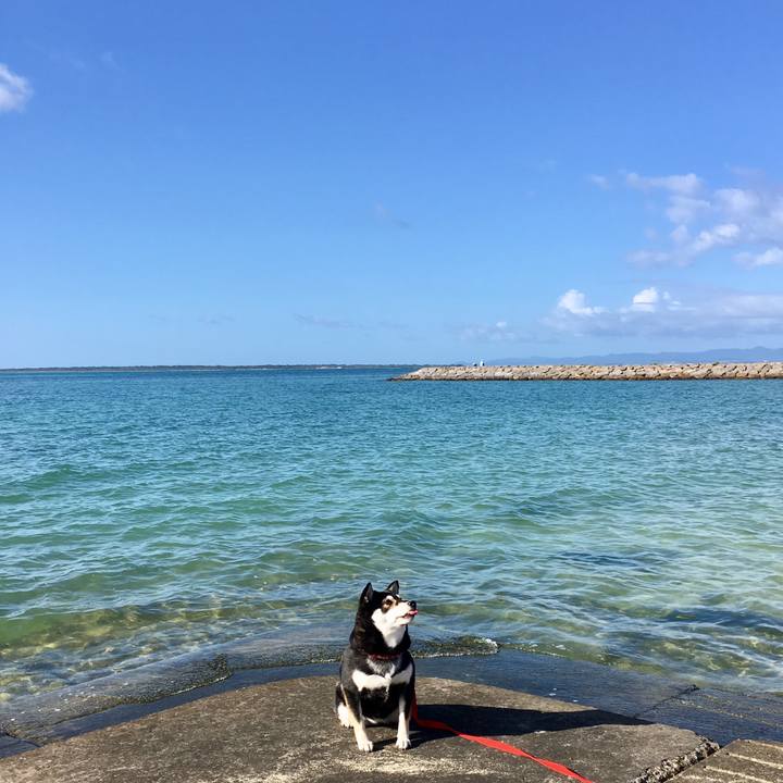 16c5519d a001 468f 92cf c948661eaa06