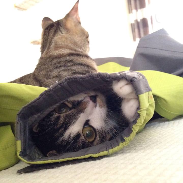 16c61a49 c3b5 423b bc71 cfdb081c08d9