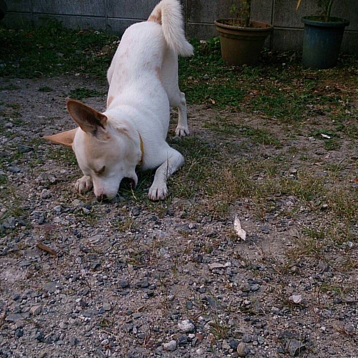 16c67f69 dcea 4c55 b165 fb763de72d7d