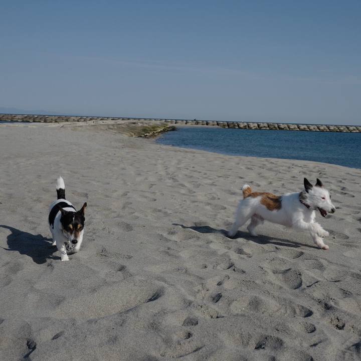 16c6d09f 98e2 4ce4 b1d1 af5b9ccb5570