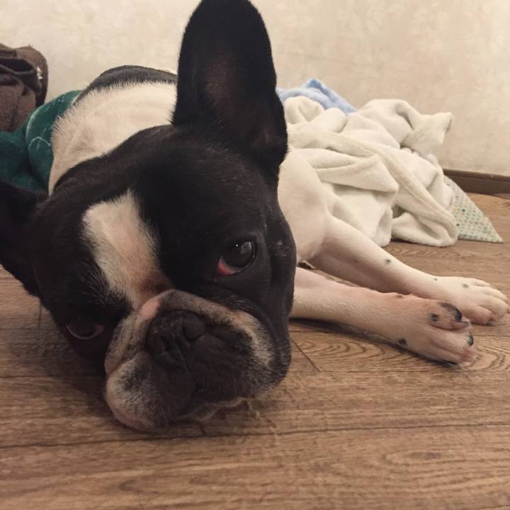 16c6ec61 91ad 4ffc bb0c 2d39db9a53bb