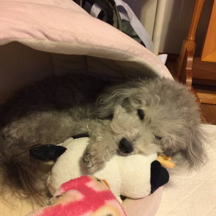 16c71bad c322 4be0 8d51 2d29d6dfbe35