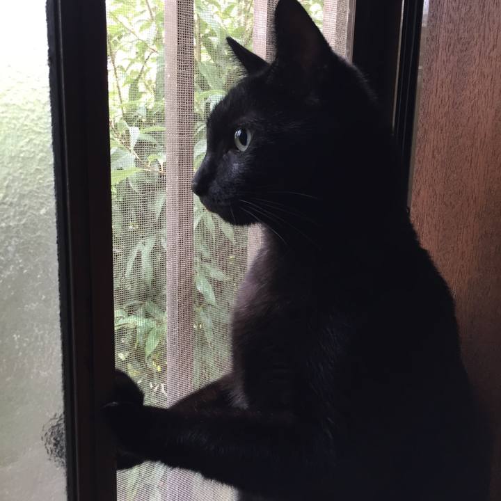 16c7a6d5 cc5d 44c5 80ac b9e882c6247a