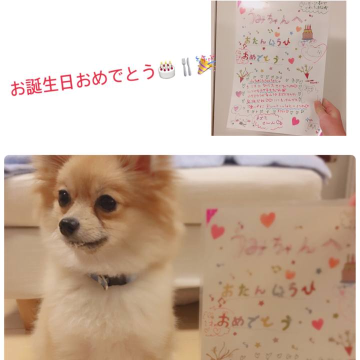 16c82534 d474 4688 b225 acfb0e193942