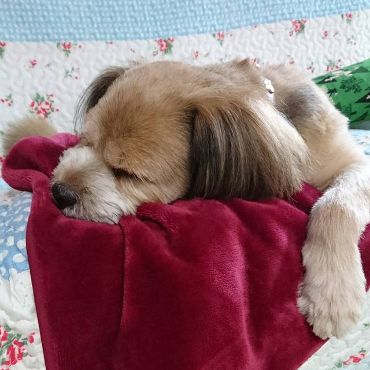 16c86f86 c9a1 45db a2ec 1baa678d1c9e