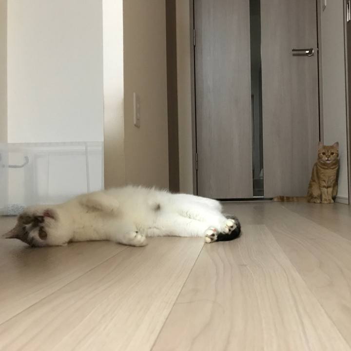 16c88e01 0064 4837 ae18 294649b395b1