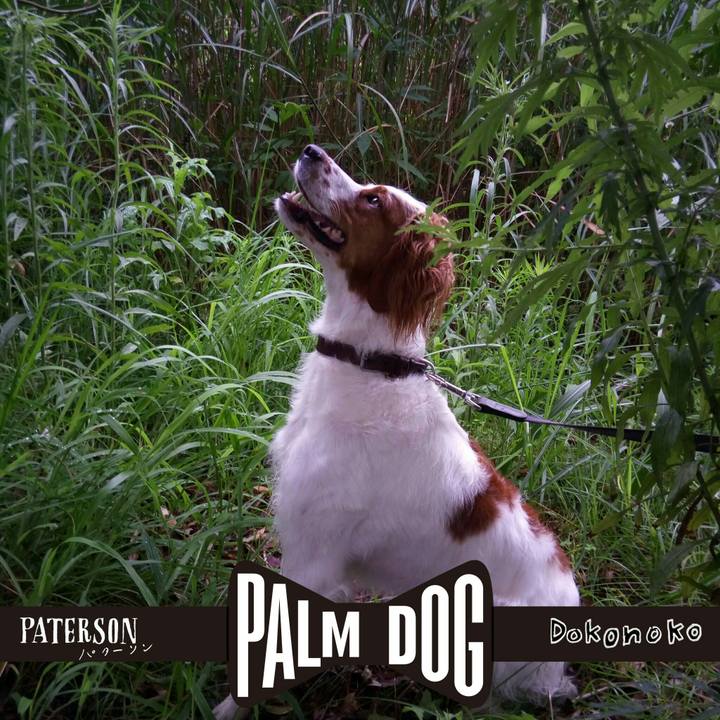 16c8bb77 cba4 487f 8c7e e292a928a92b