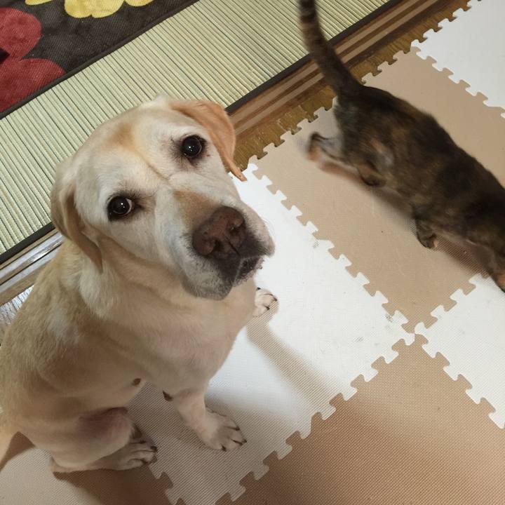 16c8d8ba f85b 4ecf ad0c ca8fdc6fc327