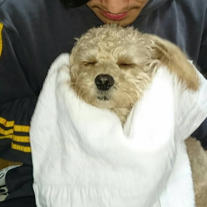 16c9487b 9667 4755 986b 9b67a35d429e