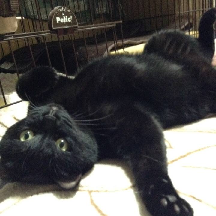 16c948b3 34b1 412d bb2a e3b7c1f3b355