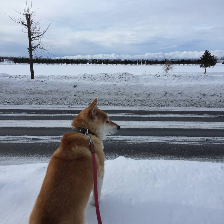 16c9f5bd b504 483a af8c 0f69893e806a