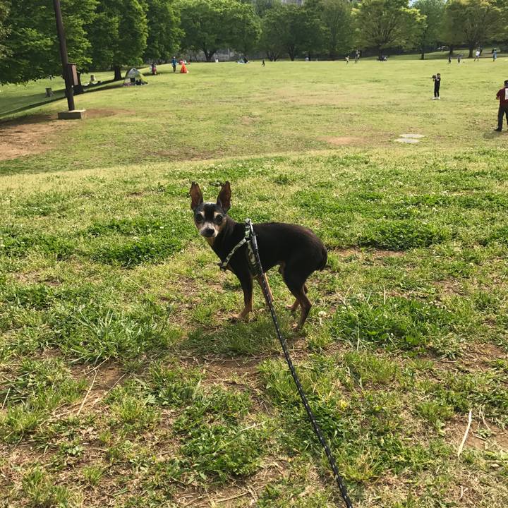 16ca3193 28e9 4eec a12d e40072579a1f