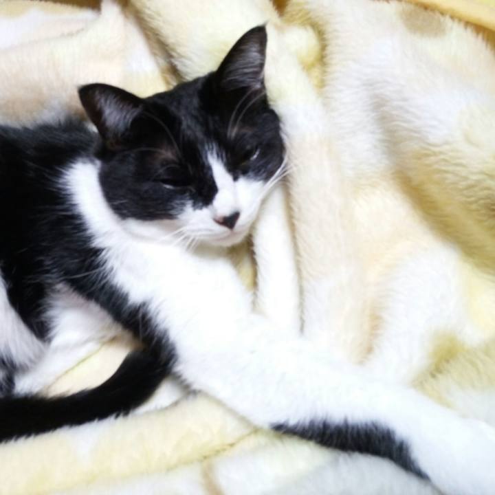 16cacfa7 f981 4d09 8b8b fd79c5490939