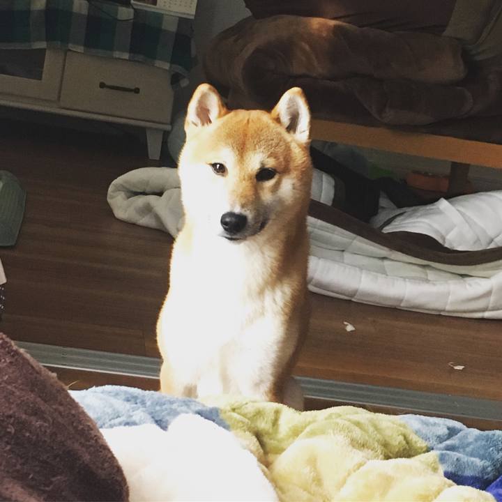 16cb0b41 1162 45a2 922a 31d85c71ddbf