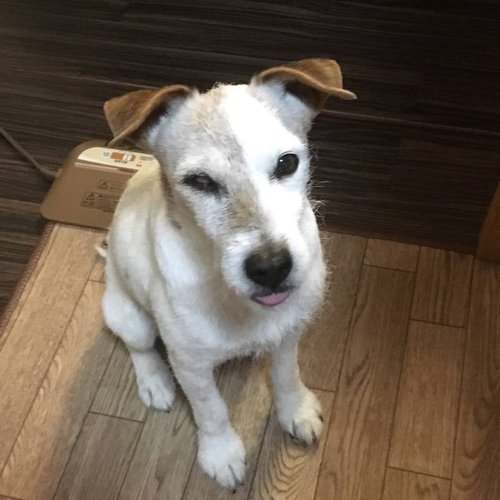 16cb2bdd bbda 479f bc59 15c7cb58527c