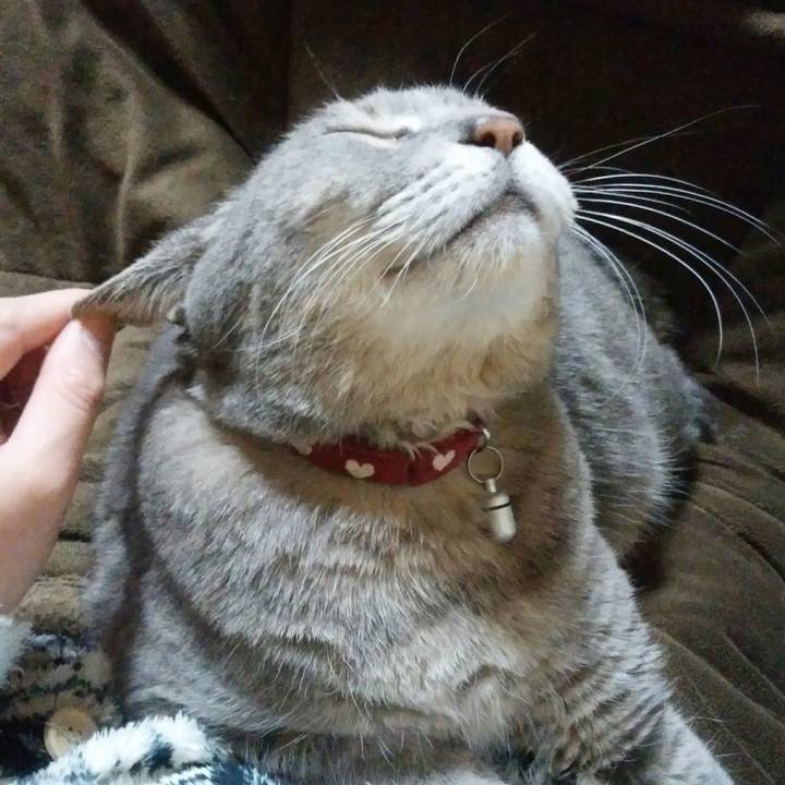 16cb3c5e efdd 47a0 8b56 f6bbab5fedfb