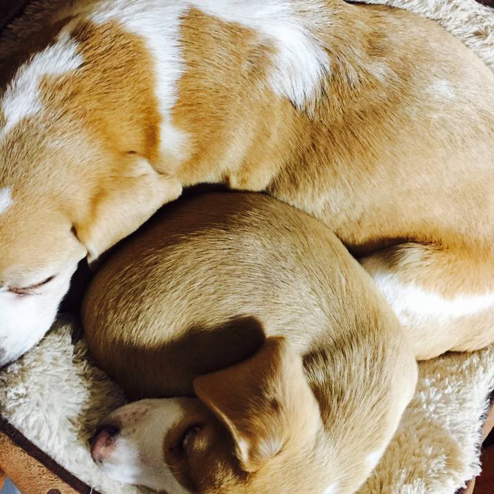 16cbb0ce e276 42b6 b0d5 b66ac6563b9c