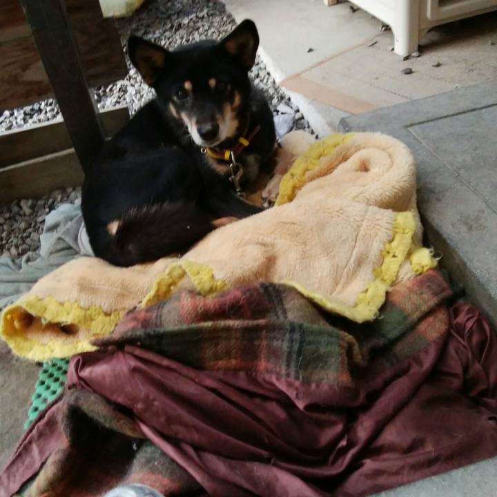 16cc8540 c470 4b16 aae0 da1a1f72c7f4