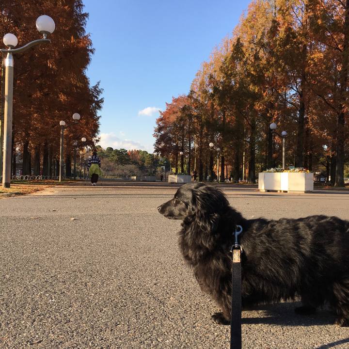 16ccef98 4821 44b9 abb4 5f0bc5988b97