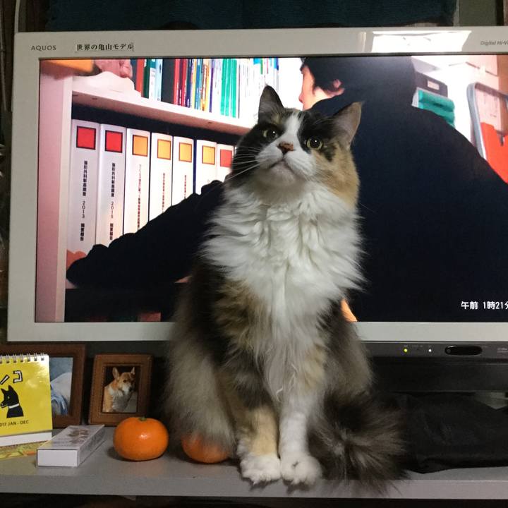 16cd16f5 f37c 4f43 a829 c84da17aefd5