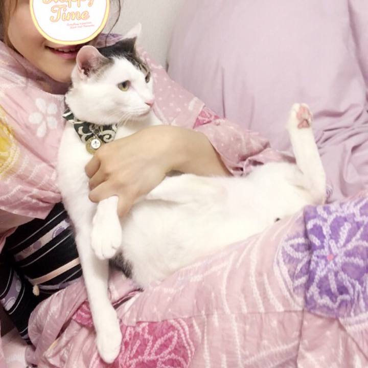 16ce0b1b 1dfa 49b1 a130 f49ccebed61c