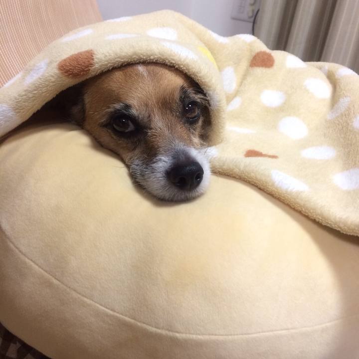 16ce5007 f1c5 4306 a865 093aad6a5352