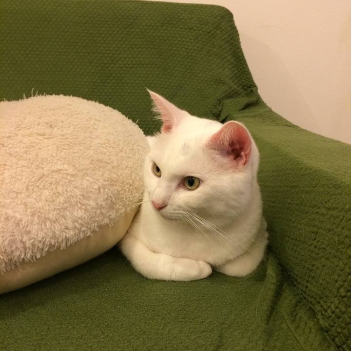 16ce773b 7807 4ca8 96cb 4253ce781613