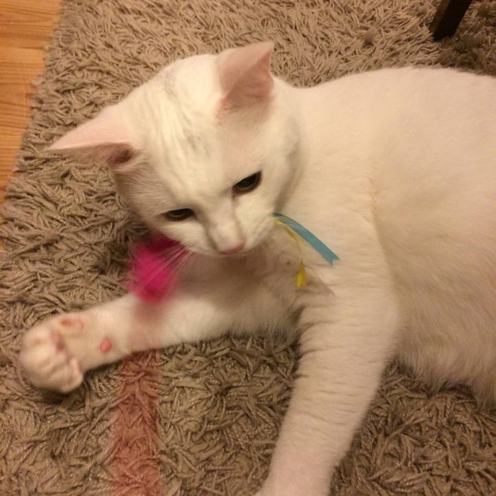 16ce7745 d938 4efc b01a b6a67c1b526c