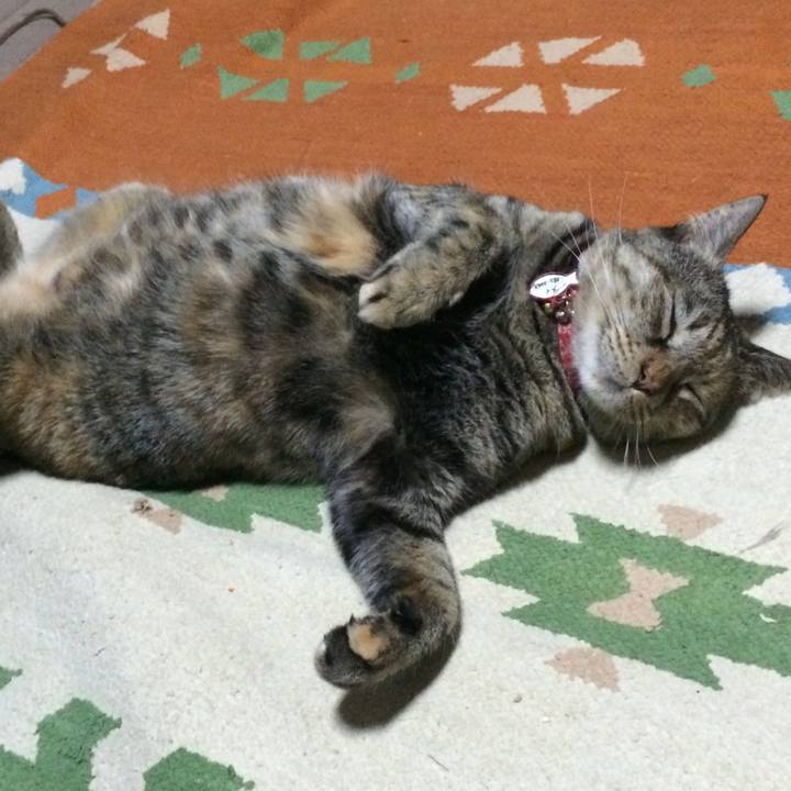 16cec8eb b3a6 45ad 9567 f7535a6c87a2