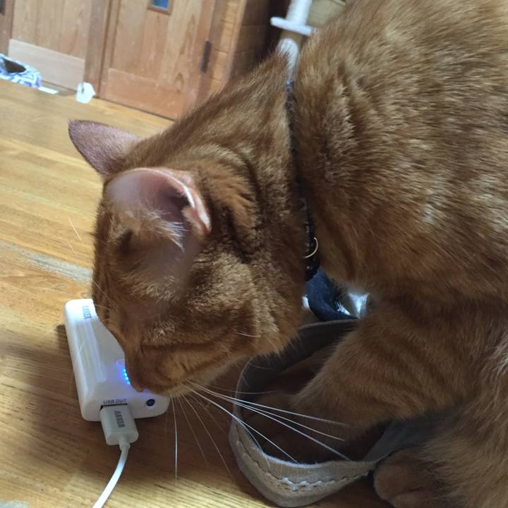 16cf146f 49bd 4366 bf0f 3b5450ed0ea3