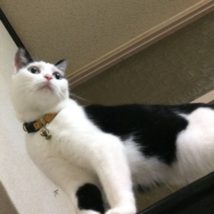 16cf20e1 8656 4964 a8a0 6dbc138080cc